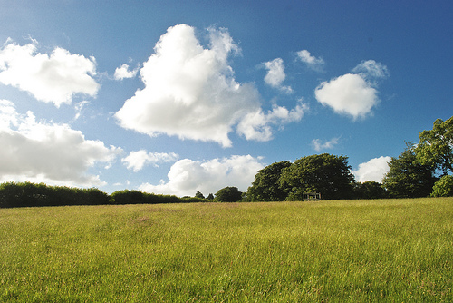 Dartmoor National Park